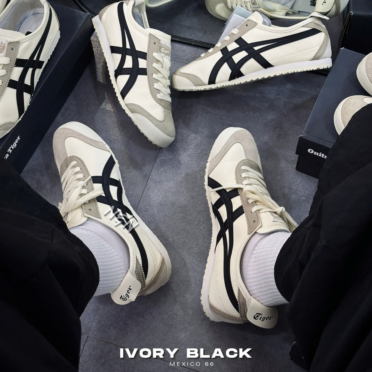 ONITSUKA MEXICO 66 IVORY BLACK 