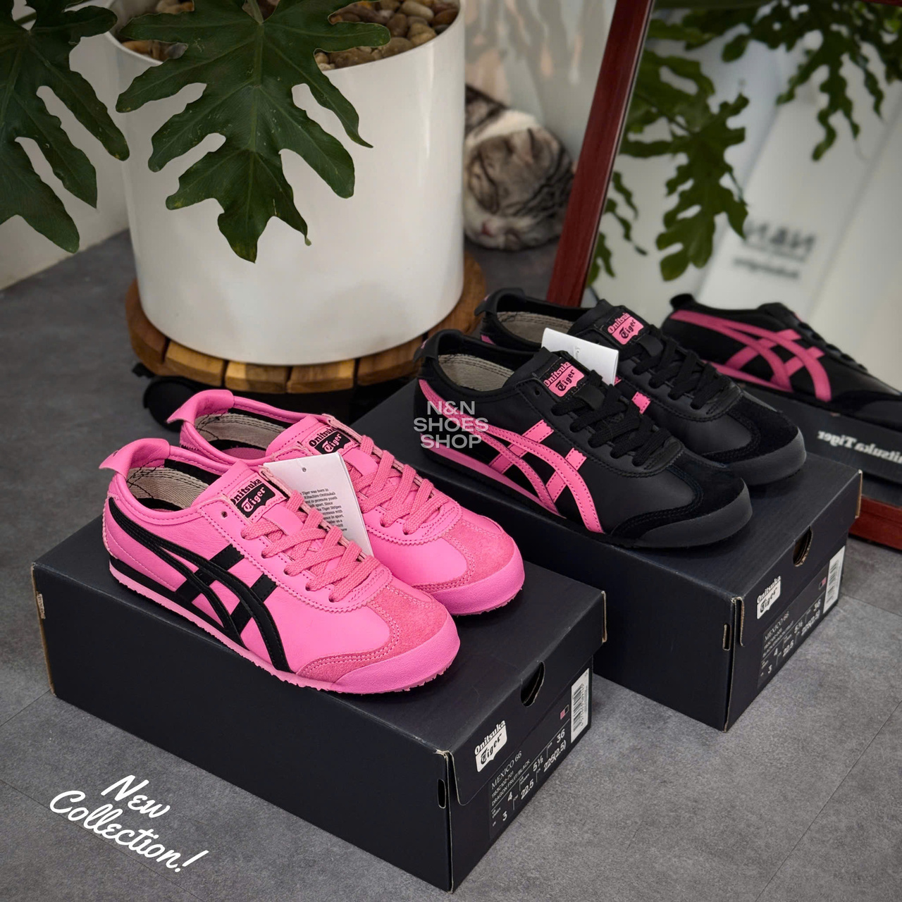 ONITSUKA MEXICO 66 DRAGON FRUIT BLACK
