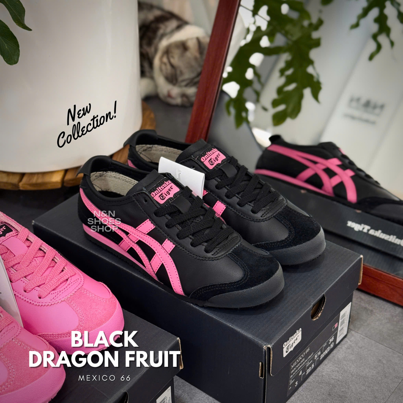 ONITSUKA MEXICO 66 BLACK DRAGON FRUIT